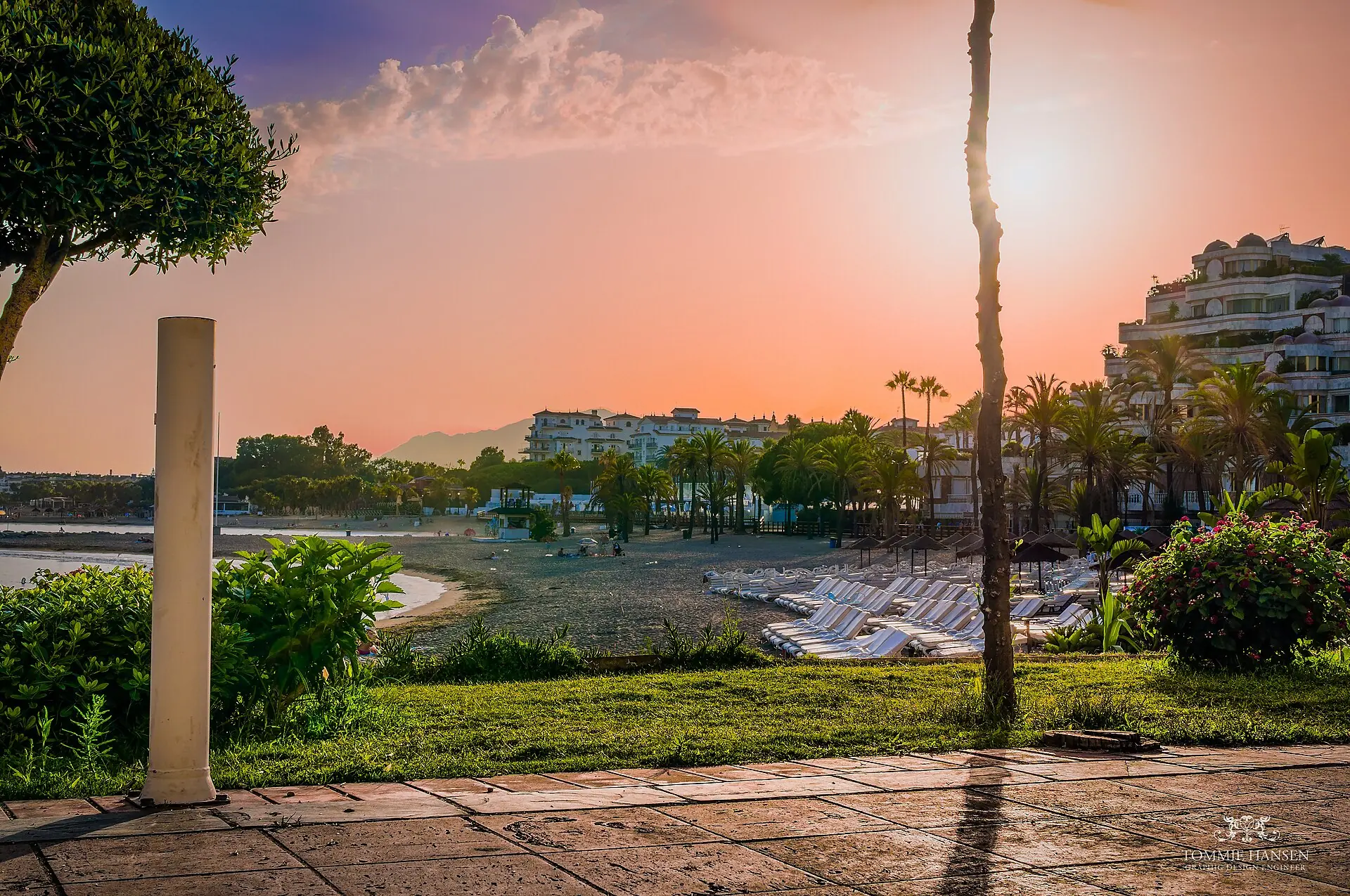 Sunset over the palm-lined beachfront near Puerto Banús